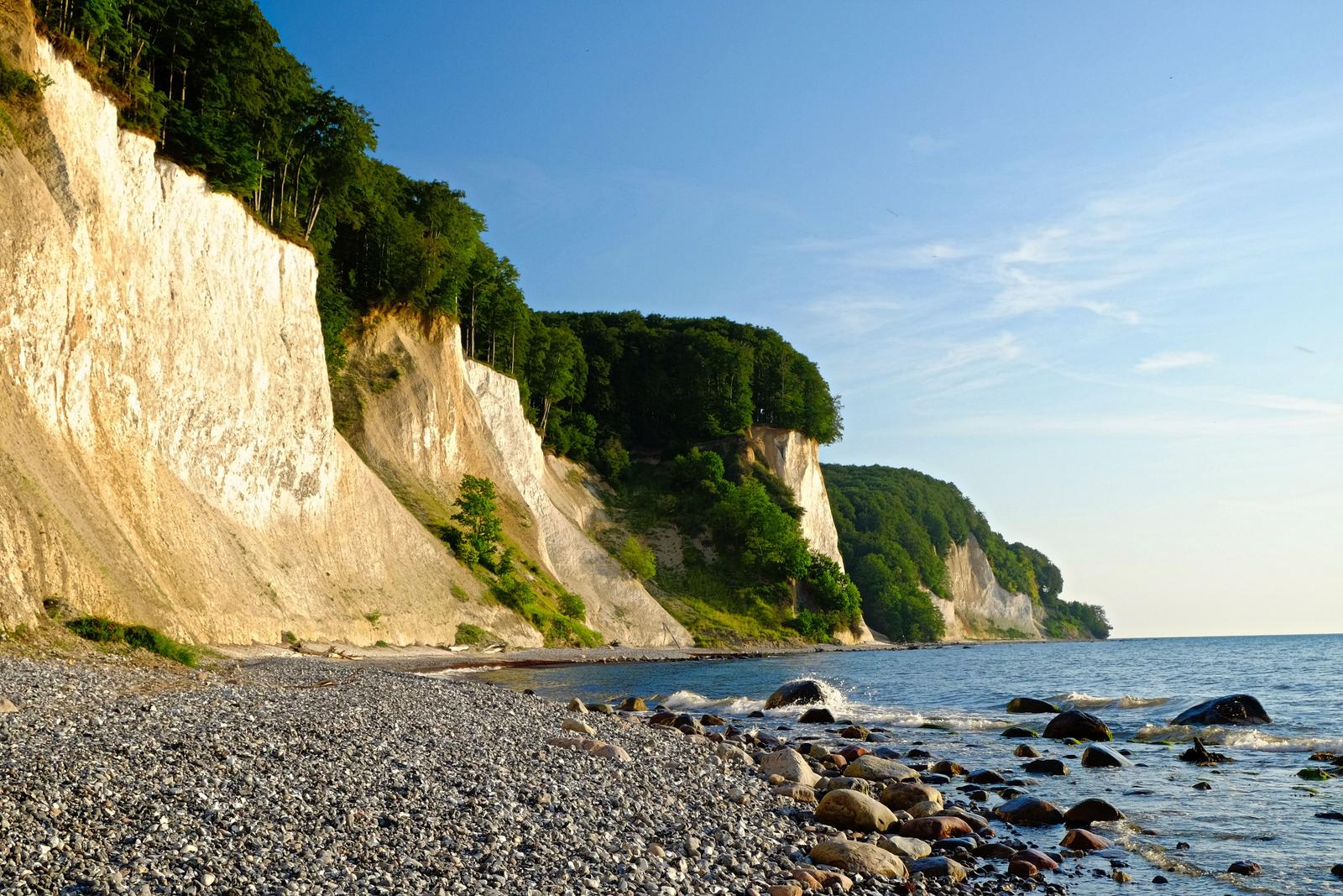 Steilküste mit Wald und Steinstrand am Meer.