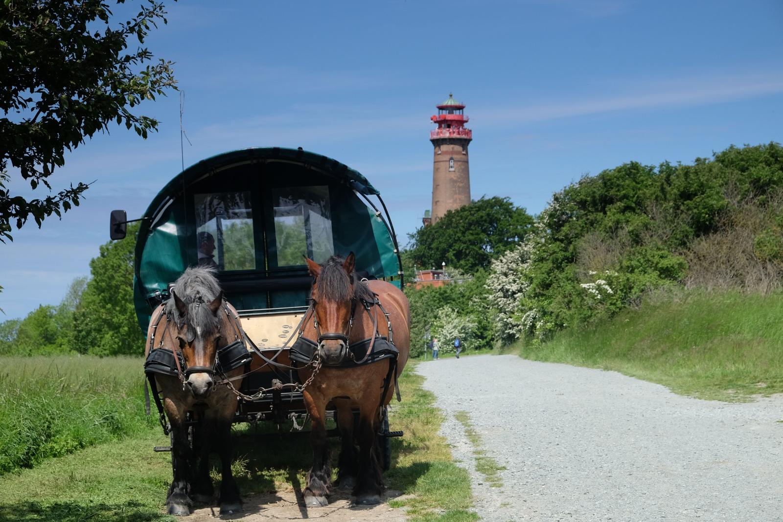 Pferdekutsche beim nahen Kap Arkona