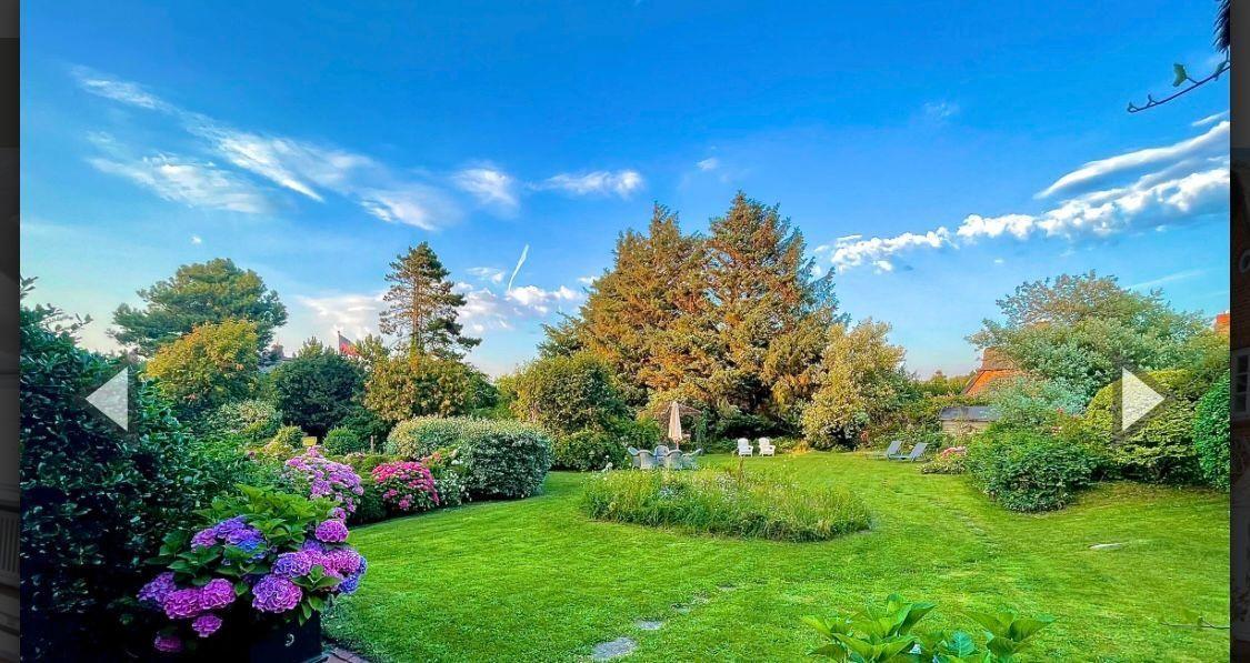 Grüner Garten mit Blumenbeeten, Liegestühlen und Bäumen unter blauem Himmel.