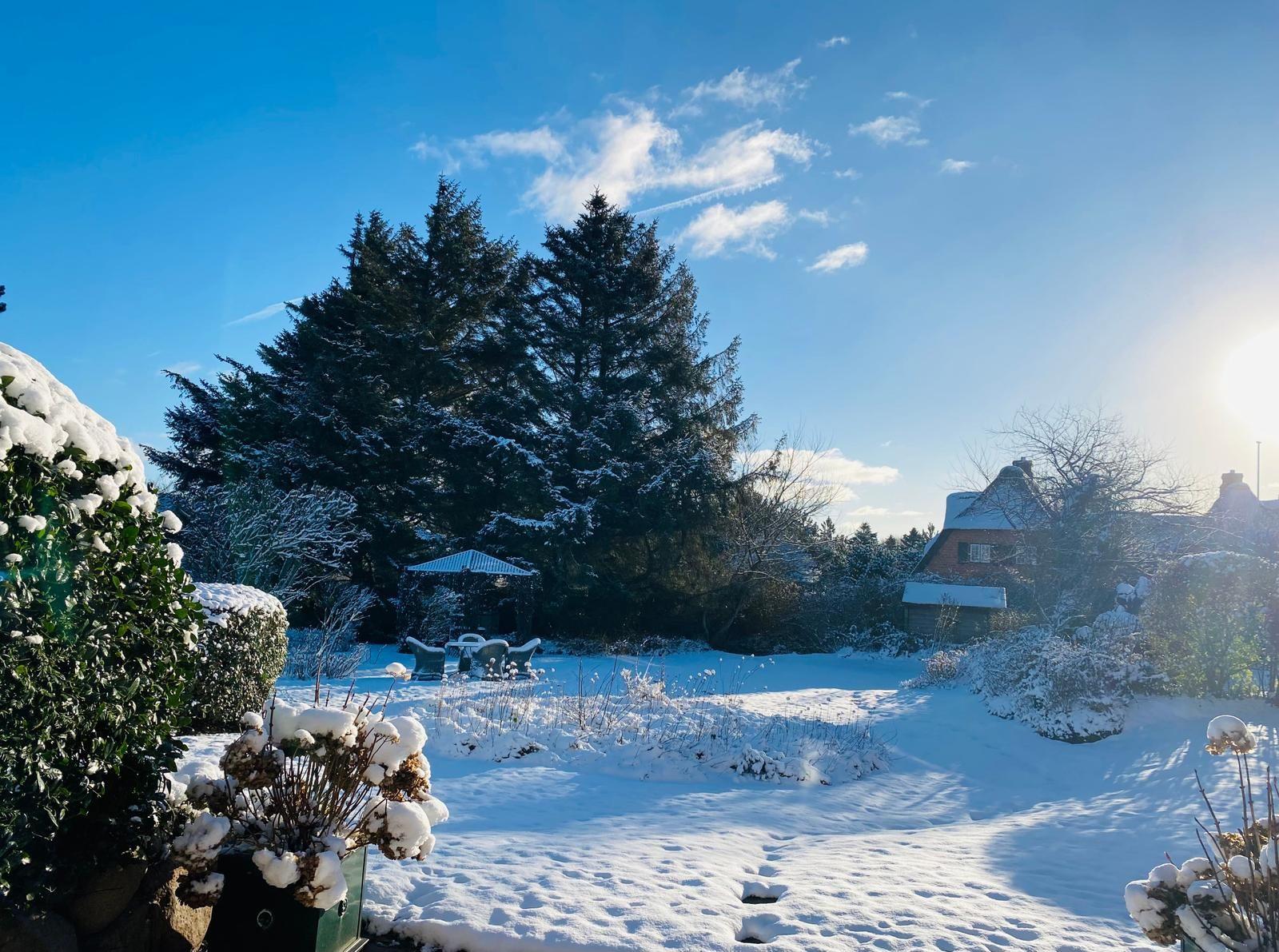 Schneebedeckter Garten mit Bäumen und einem Pavillon unter blauem Himmel.