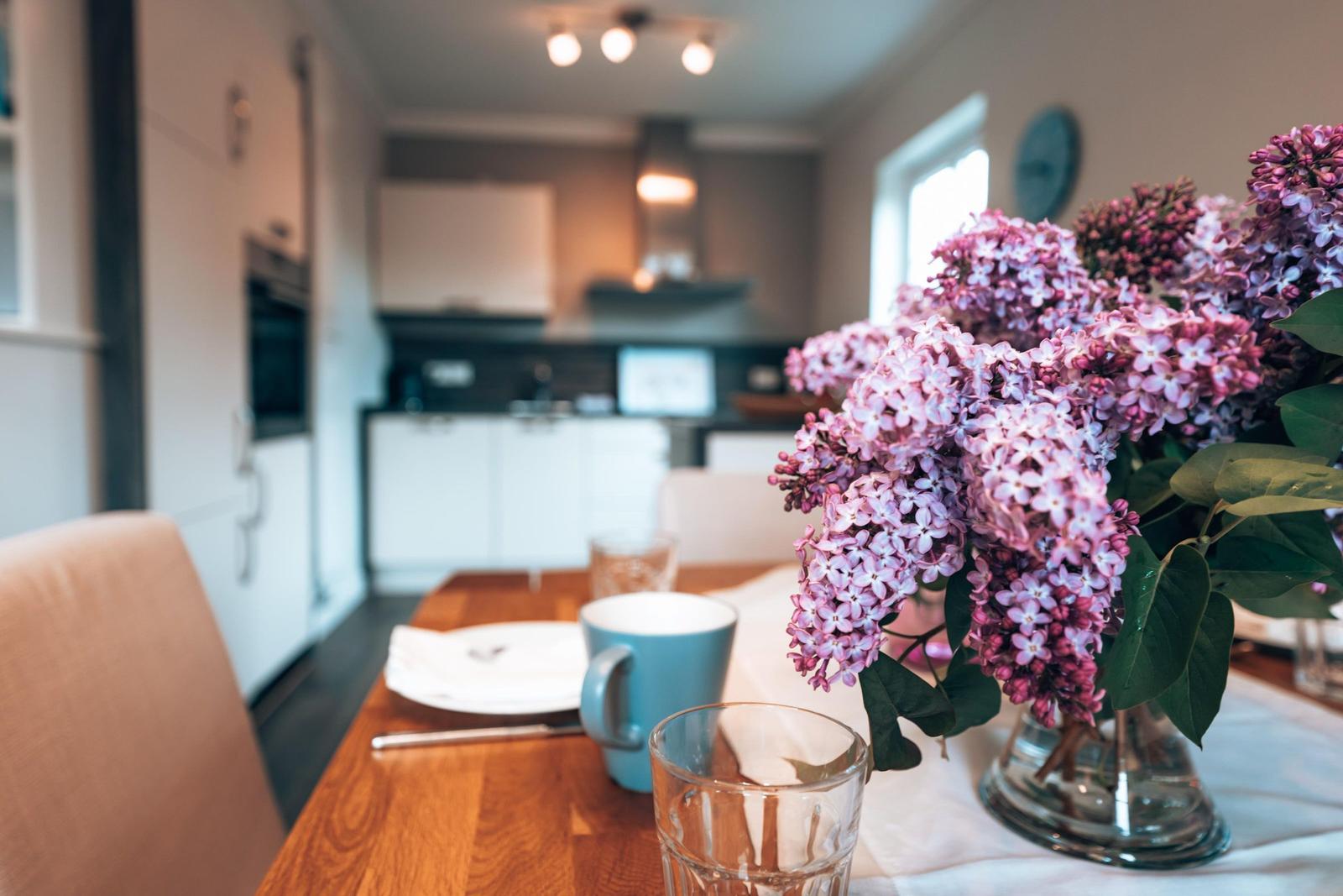 Küche / Küchenzeile