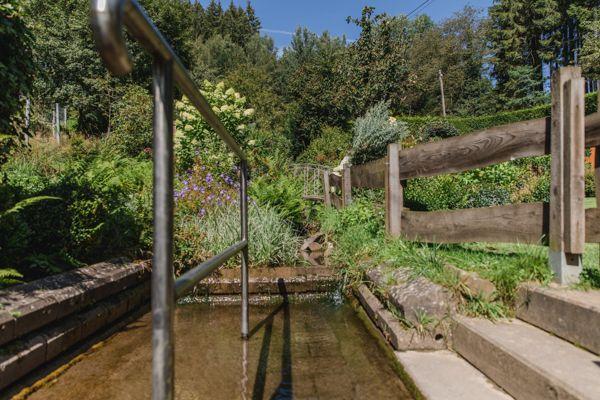 Ein Holzgeländer und Metallgeländer flankieren einen Bach im Wald.