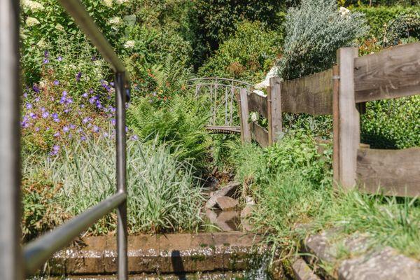 Ein Garten mit Brücke, Wasser und Pflanzen. Holzgeländer und Metallgeländer sind sichtbar.