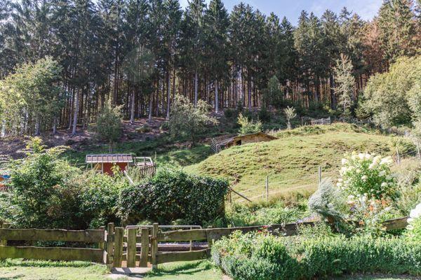 Hütte in grüner Umgebung mit Wald und Garten
