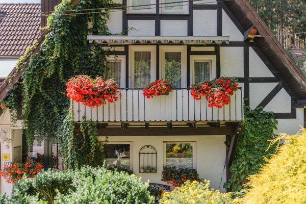 Haus mit Balkon, roten Blumen und Kletterpflanzen an der Fassade.