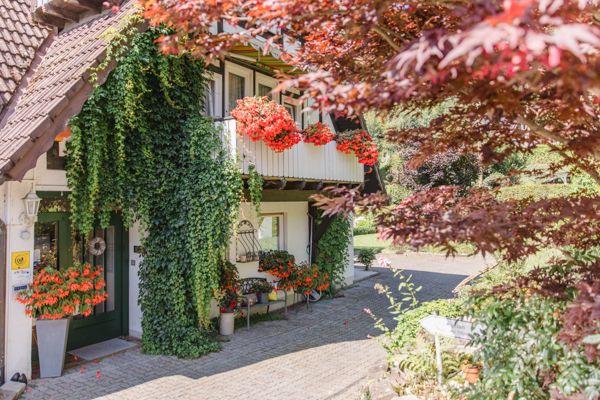 Haus mit Kletterpflanzen, Blumenkästen und Balkon unter roten Blättern.