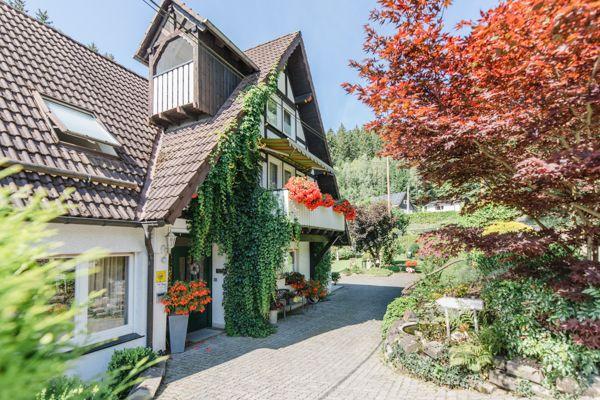 Haus mit Steinweg, Efeu an Fassade, Blumen und Wald im Hintergrund.