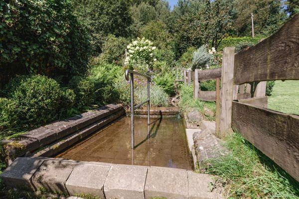 Ein kleiner, natürlicher Whirlpool im Garten mit Holzgeländer und Pflanzen.