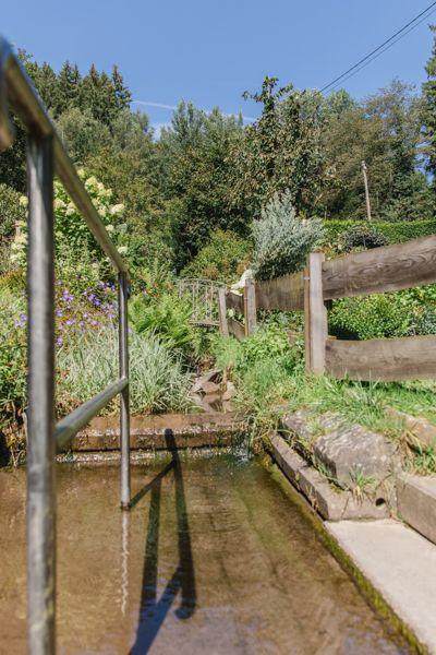 Ein kleiner Bach mit Steinufer und Holzgeländer im grünen Garten.