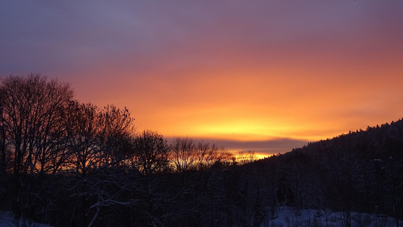 Winter sunset with snow-covered trees and colorful sky