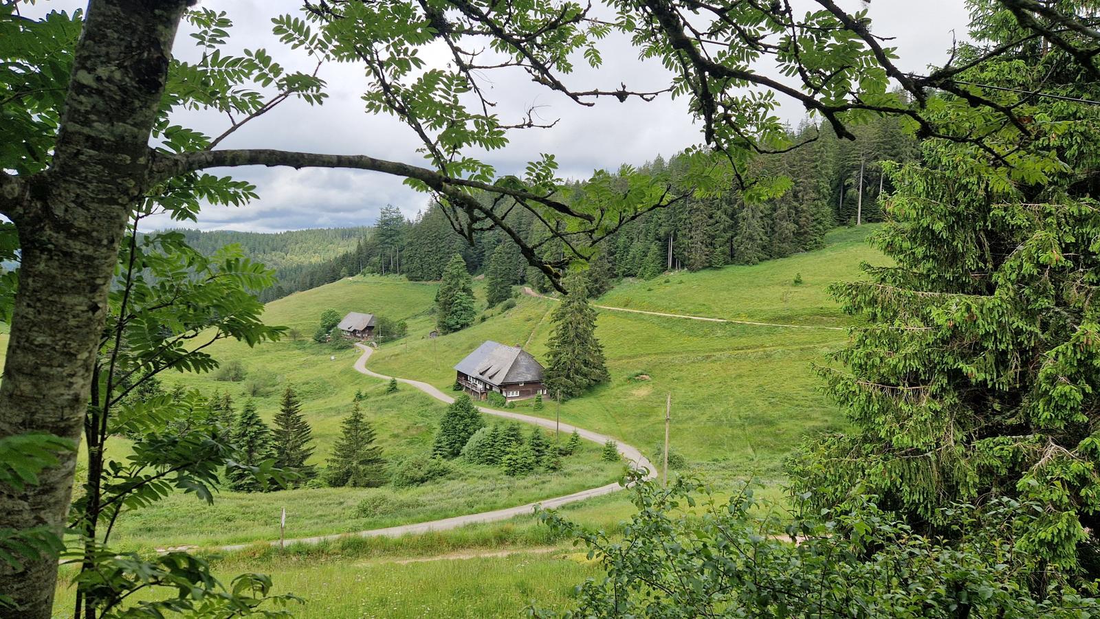 Huts on green hillside with forest and narrow road.