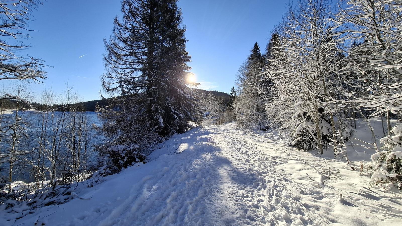 Snow-covered forest path beside a frozen lake under a blue sky.