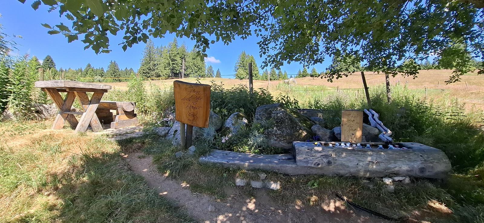 Wooden bench and grill area under trees with signs in the garden.