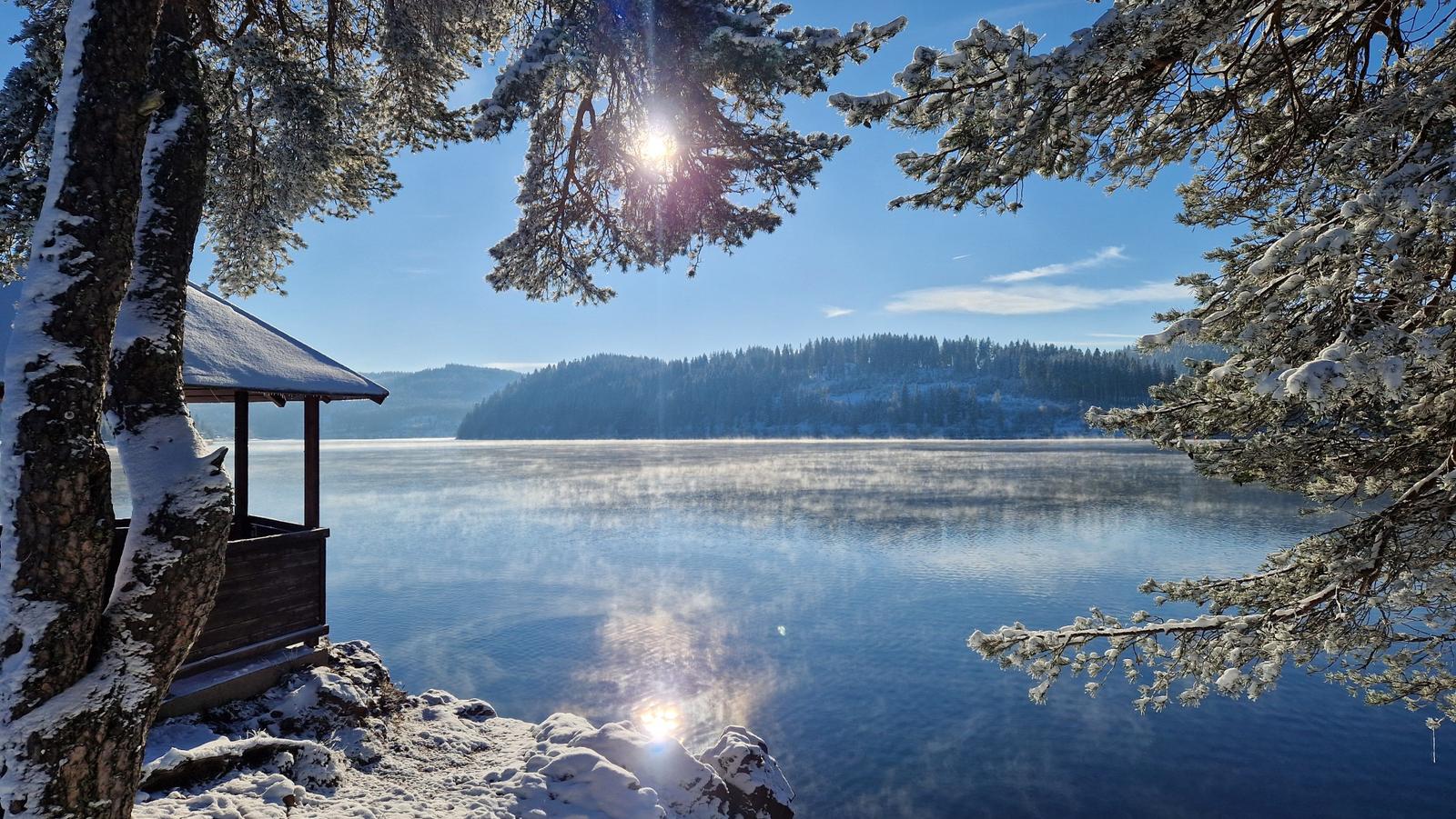 Snow-covered trees frame a lake with sunlight and forested hills in the background.