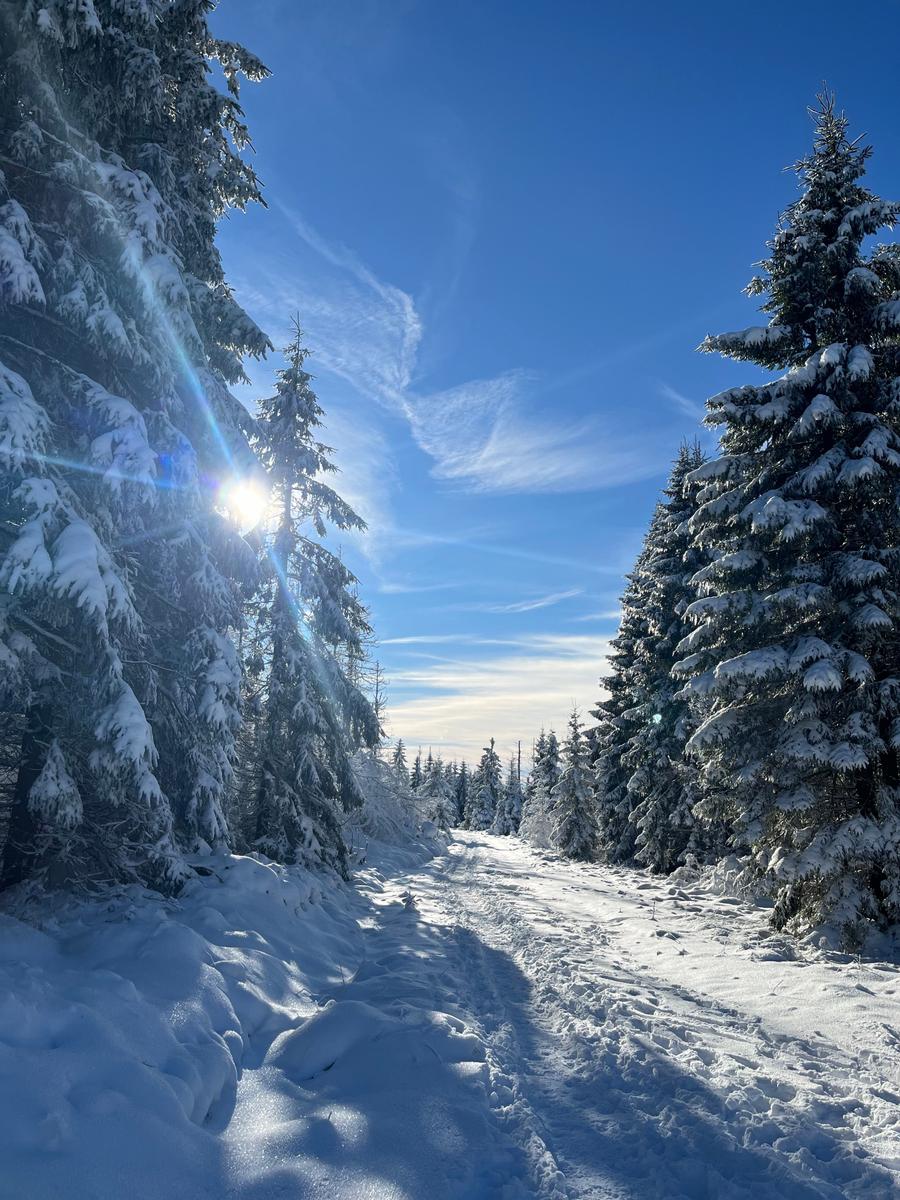 Schneebedeckter Waldweg unter blauem Himmel mit Sonnenlicht