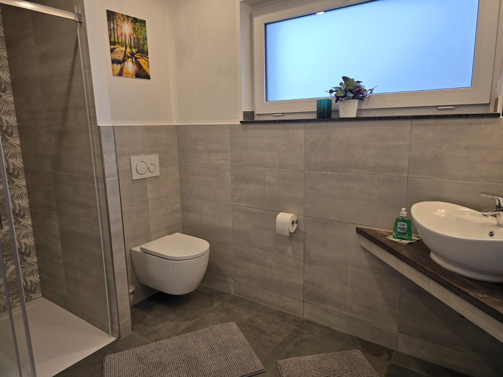 Bad mit Dusche, WC und Waschbecken. Fenster mit Pflanze und Bild.