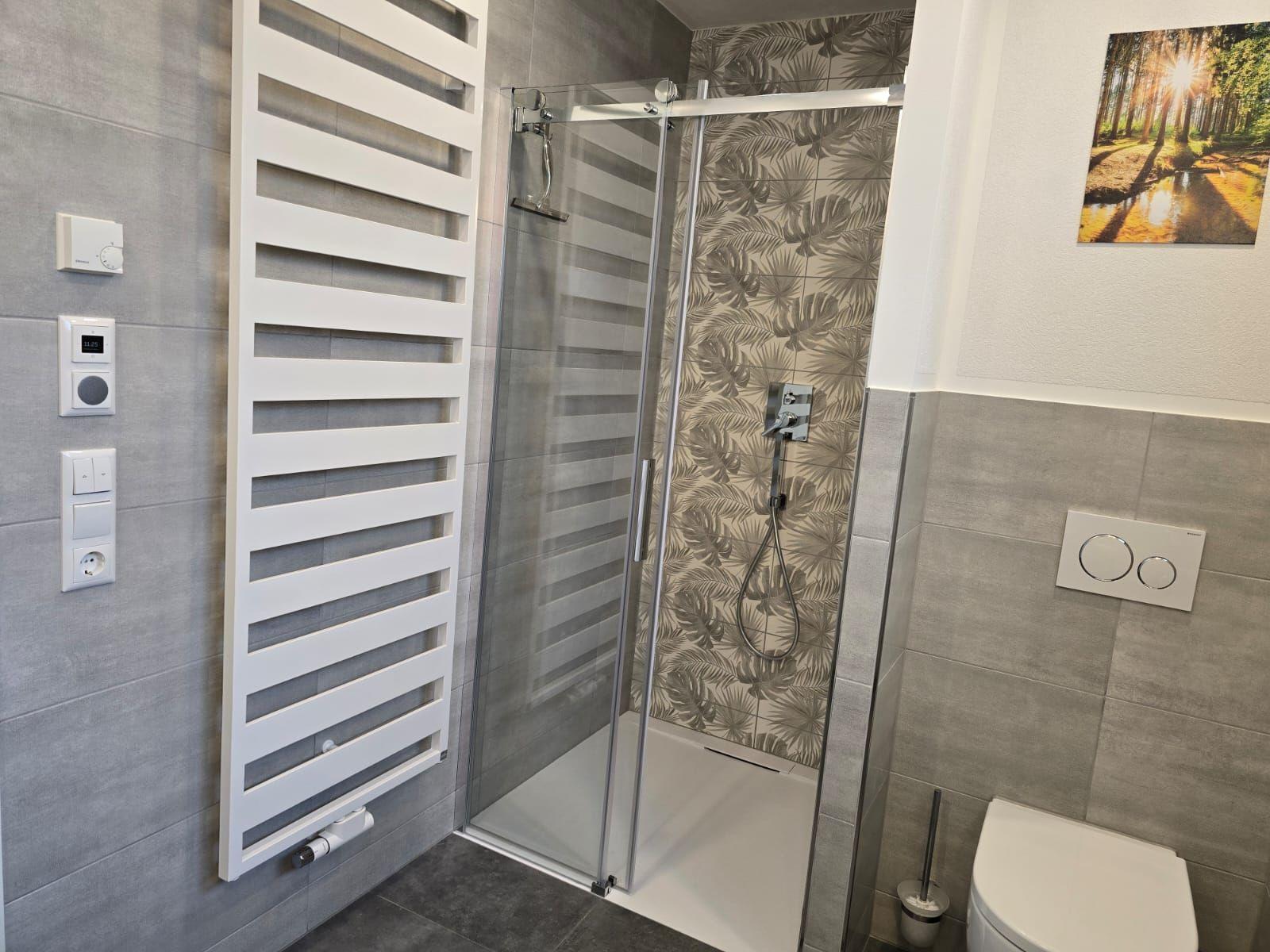 Dusche mit Glaswand, Heizkörper und Toilette in moderner Ausstattung.