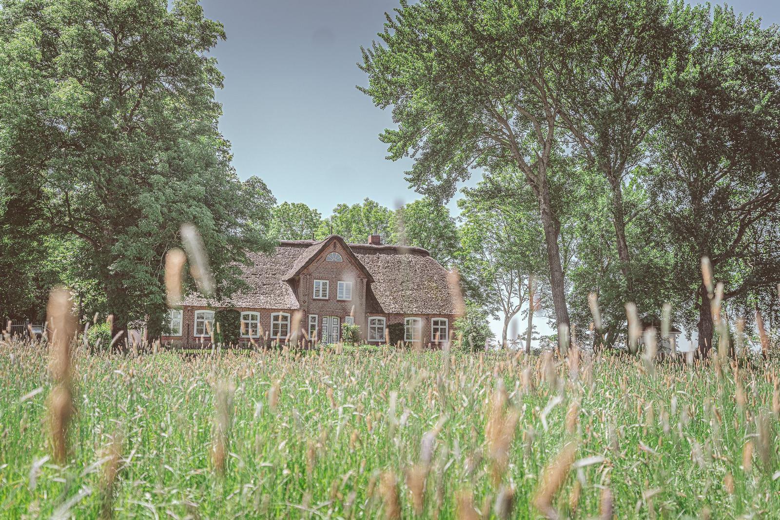 Haus mit Strohdach steht in grüner Umgebung mit hohen Bäumen.