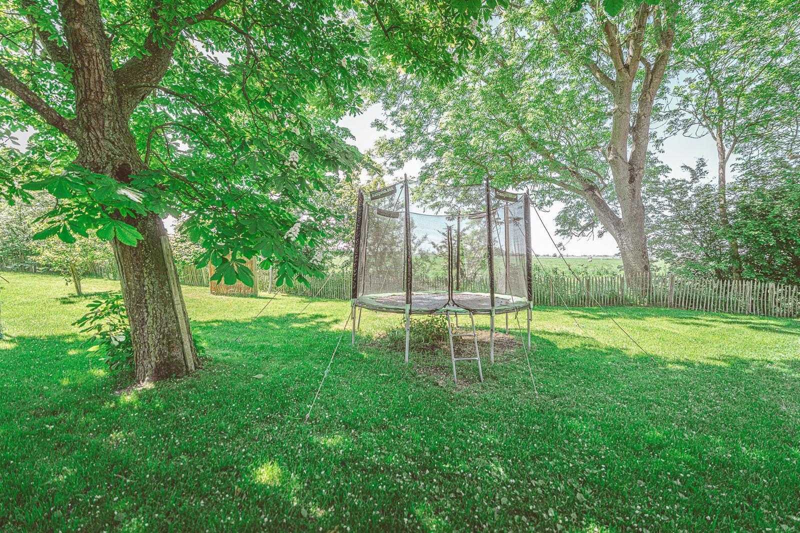 Ein Trampolin steht auf einer grünen Wiese unter Bäumen.