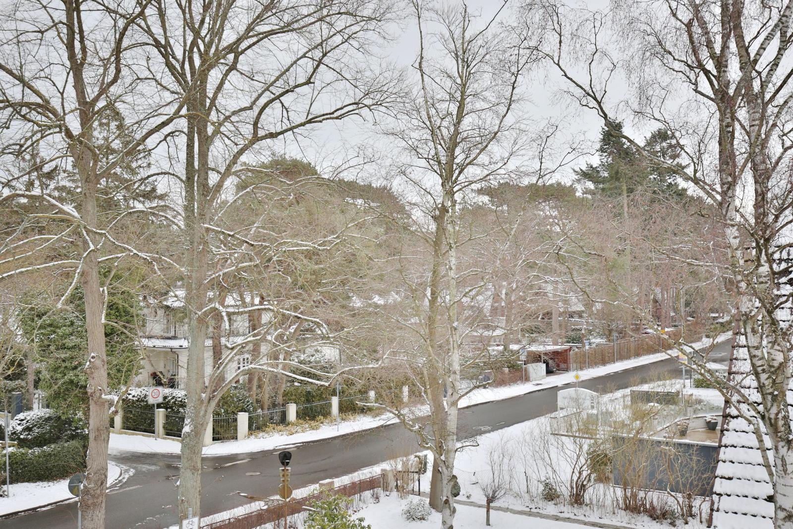 Schneebedeckte Bäume und Straßen im Winter. Blick auf eine ruhige Wohngegend.