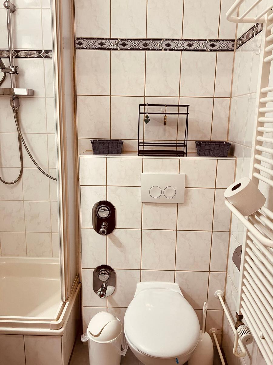 Badezimmer mit Dusche, Toilette und Heizkörper
