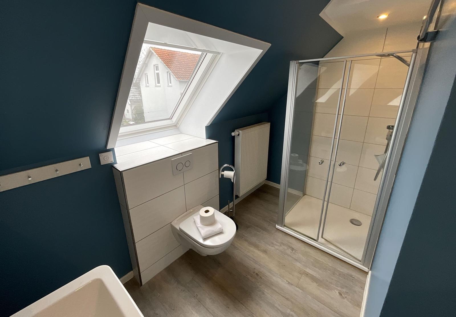 Badezimmer mit Dusche, WC und Dachfenster. Holzdielenboden und blaue Wände.