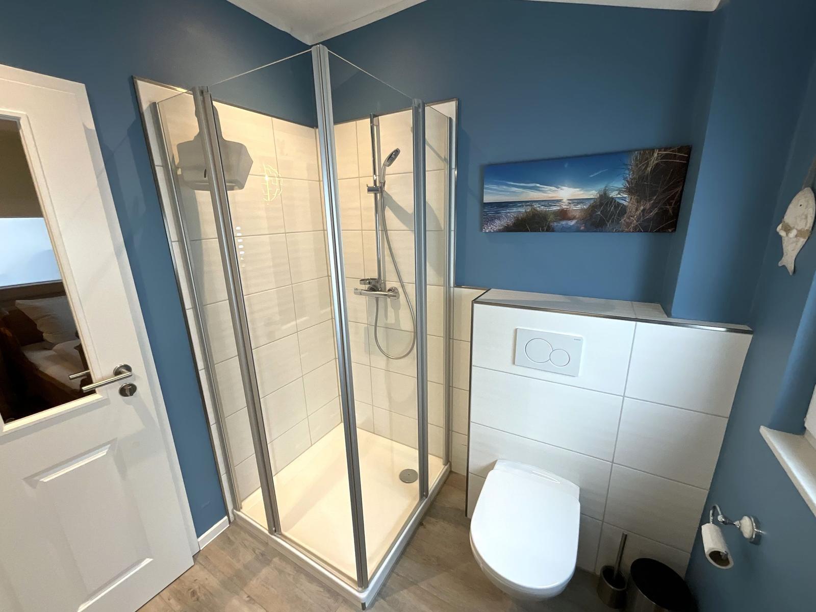 Bad mit Dusche, WC und Wandbild an blauer Wand.