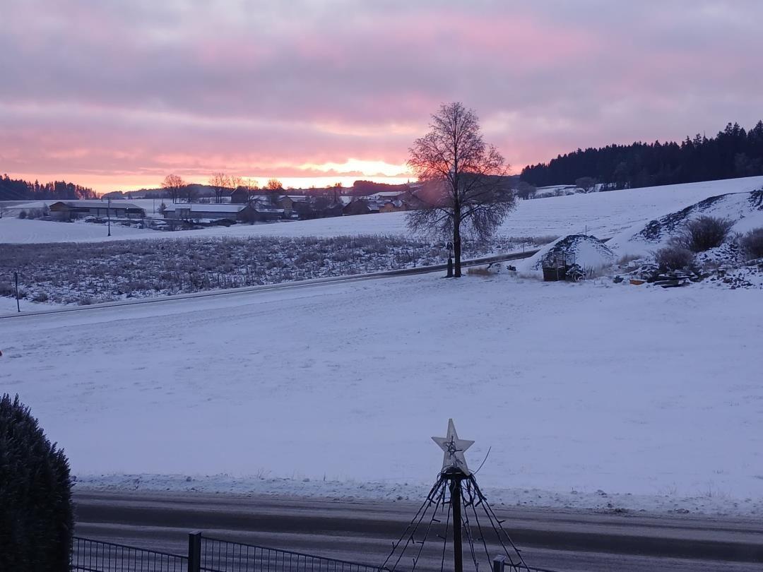 Snow-covered landscape at sunset with tree and star