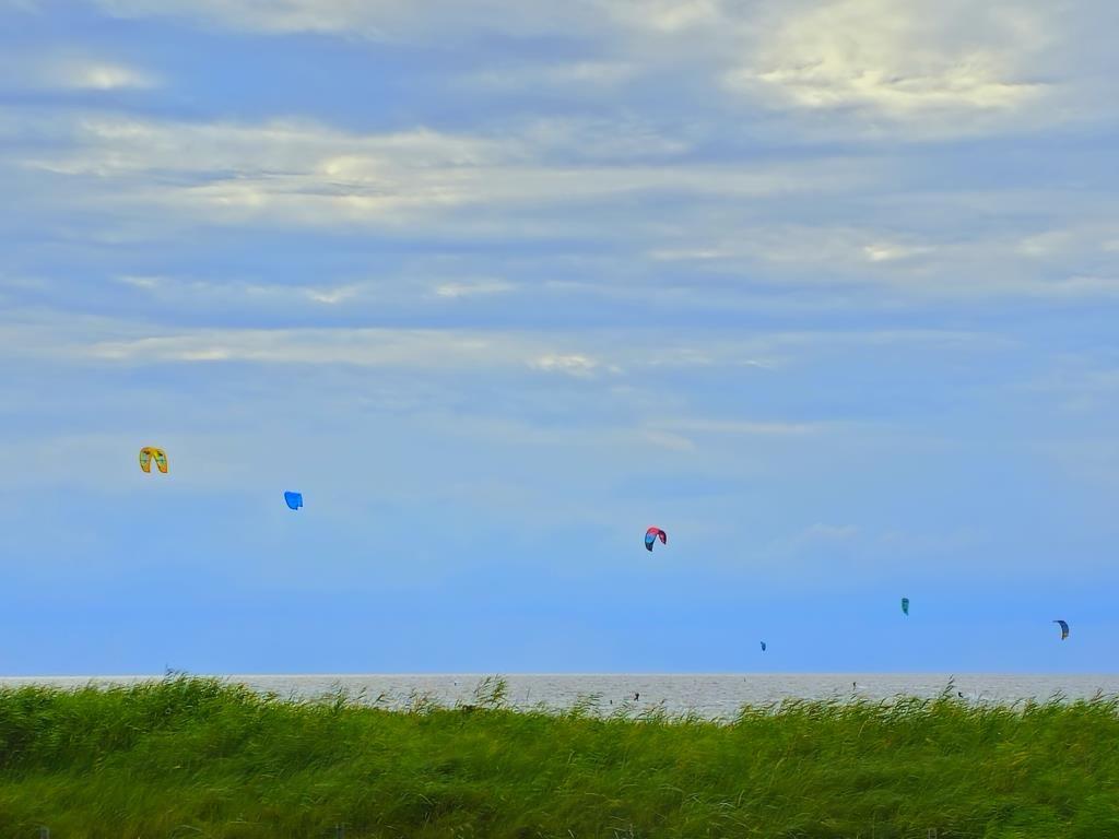 Kitesurfing kites fly over sea and beach.