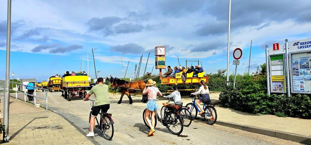 Horse-drawn carriages and cyclists near a harbor with information boards.