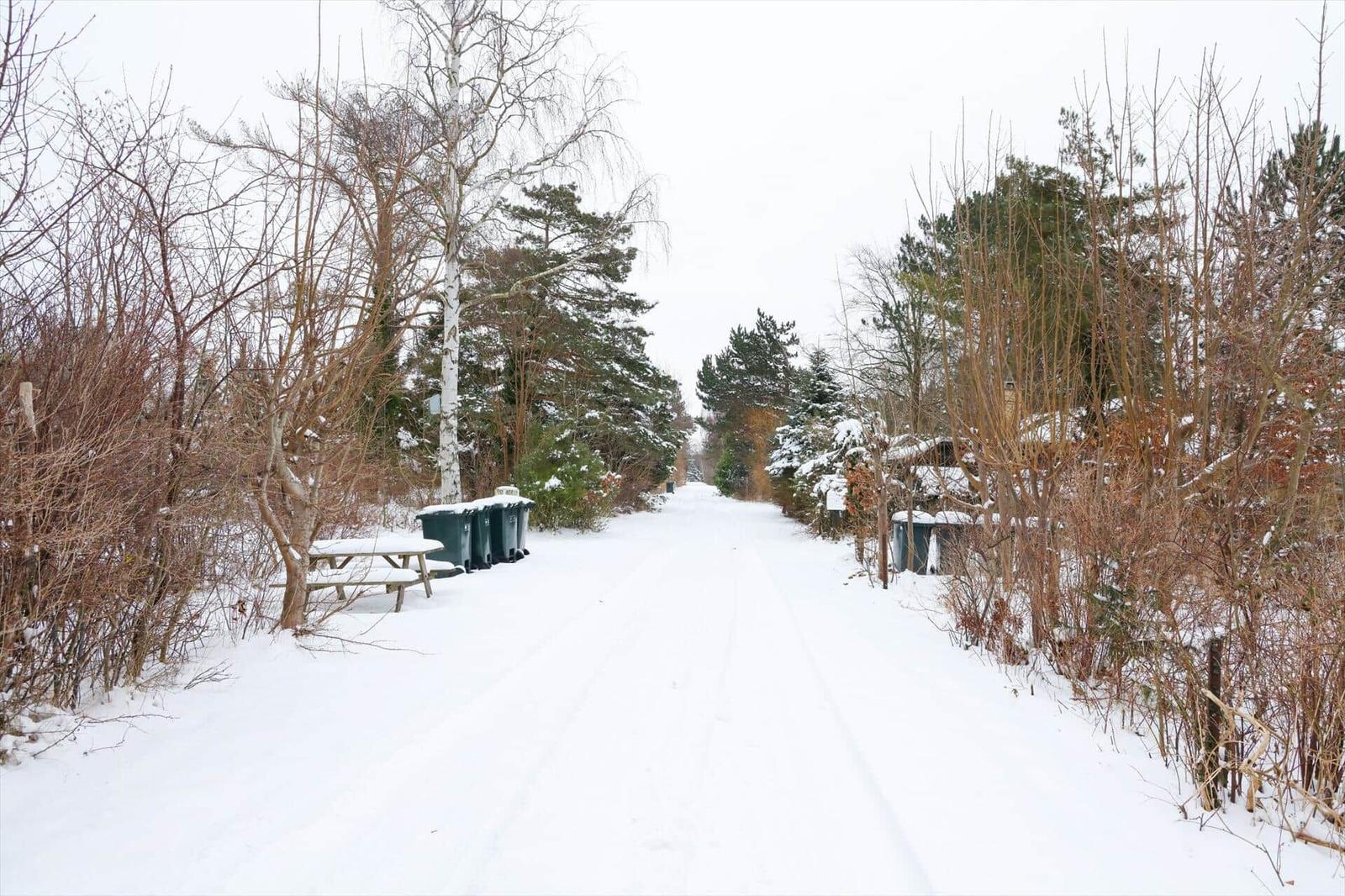 Schneebedeckter Weg durch einen Wald mit Bäumen und Müllcontainern an den Seiten.