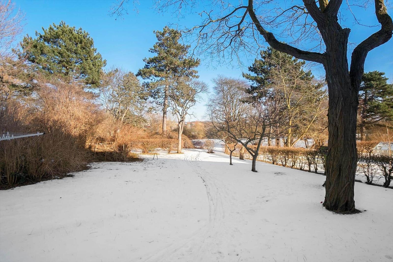 Snow-covered path through a winter garden with trees and shrubs.