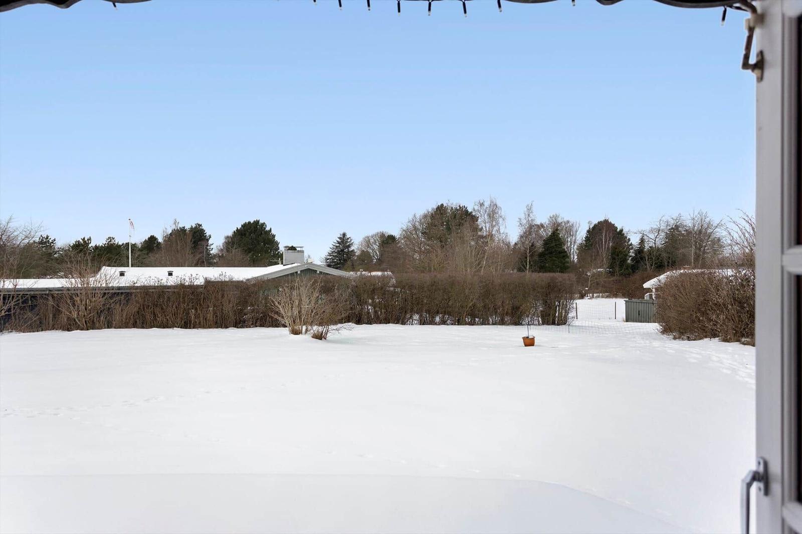 Snow-covered garden with hedge and trees in the background.