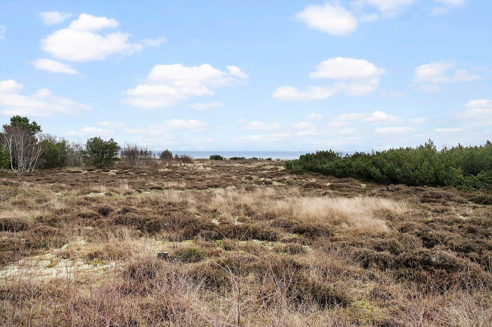 Weitläufiges Moor mit Sträuchern und Blick auf das Meer unter blauem Himmel.