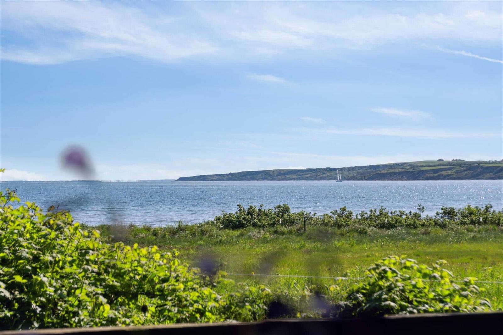 Blick auf das Meer mit Segelboot und grüner Landschaft im Vordergrund.