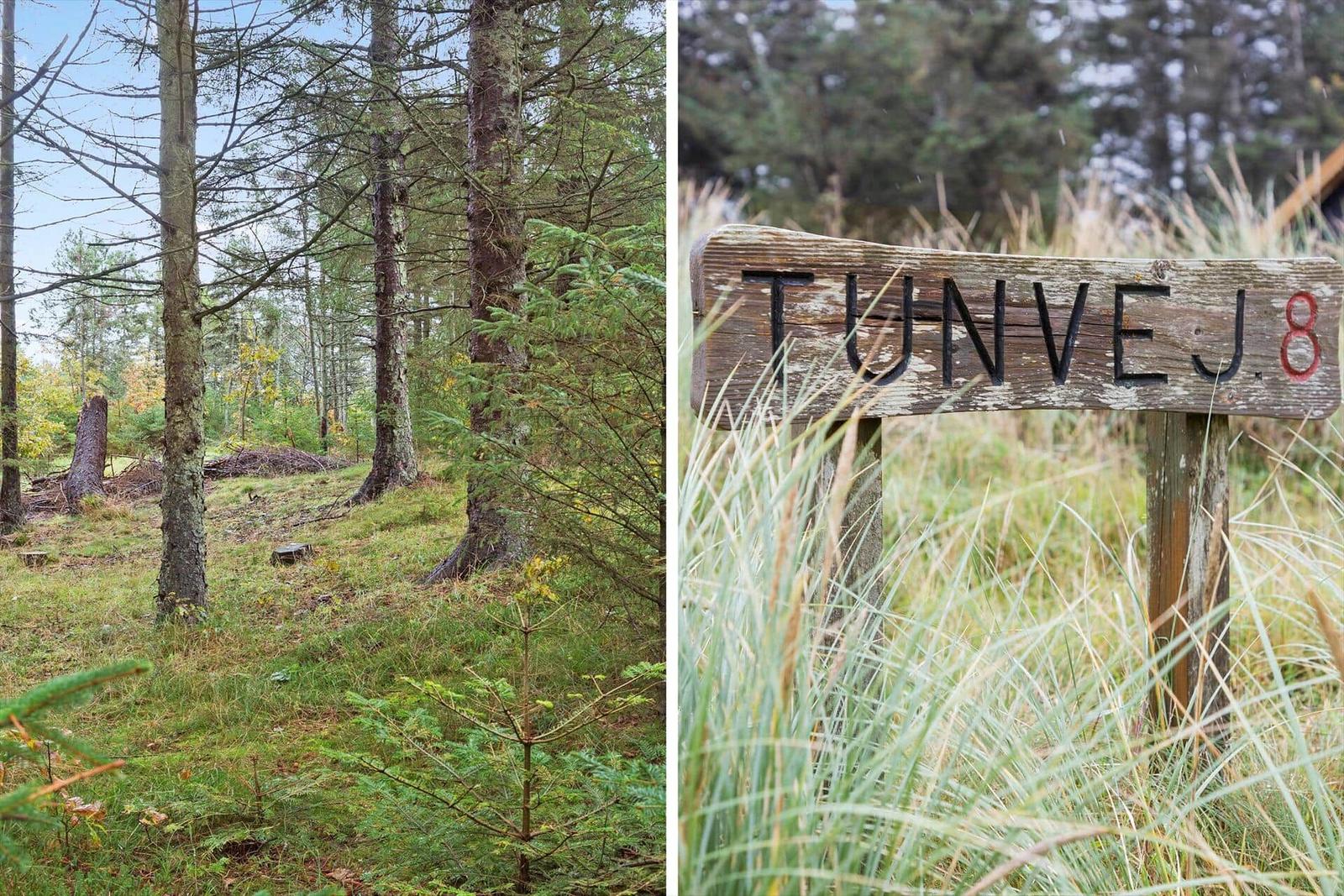 Waldweg mit Schild TUNVEJ 8. Gras und Bäume umgeben den Pfad.