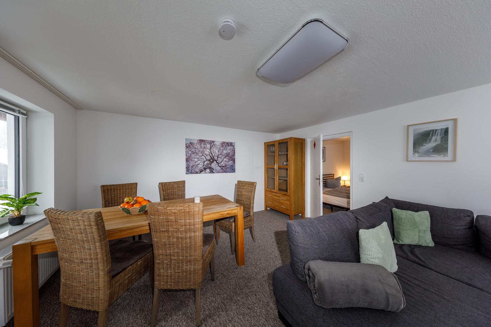 Wohn- und Essbereich mit Sofa, Esstisch und Blick in Schlafzimmer.