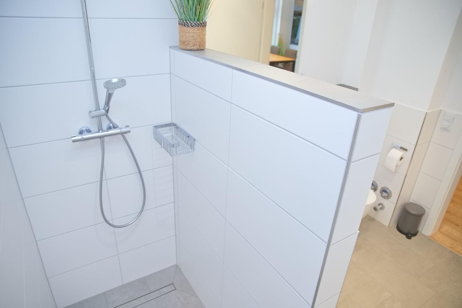 Dusche mit Duschbrause, Pflanze und WC-Bereich