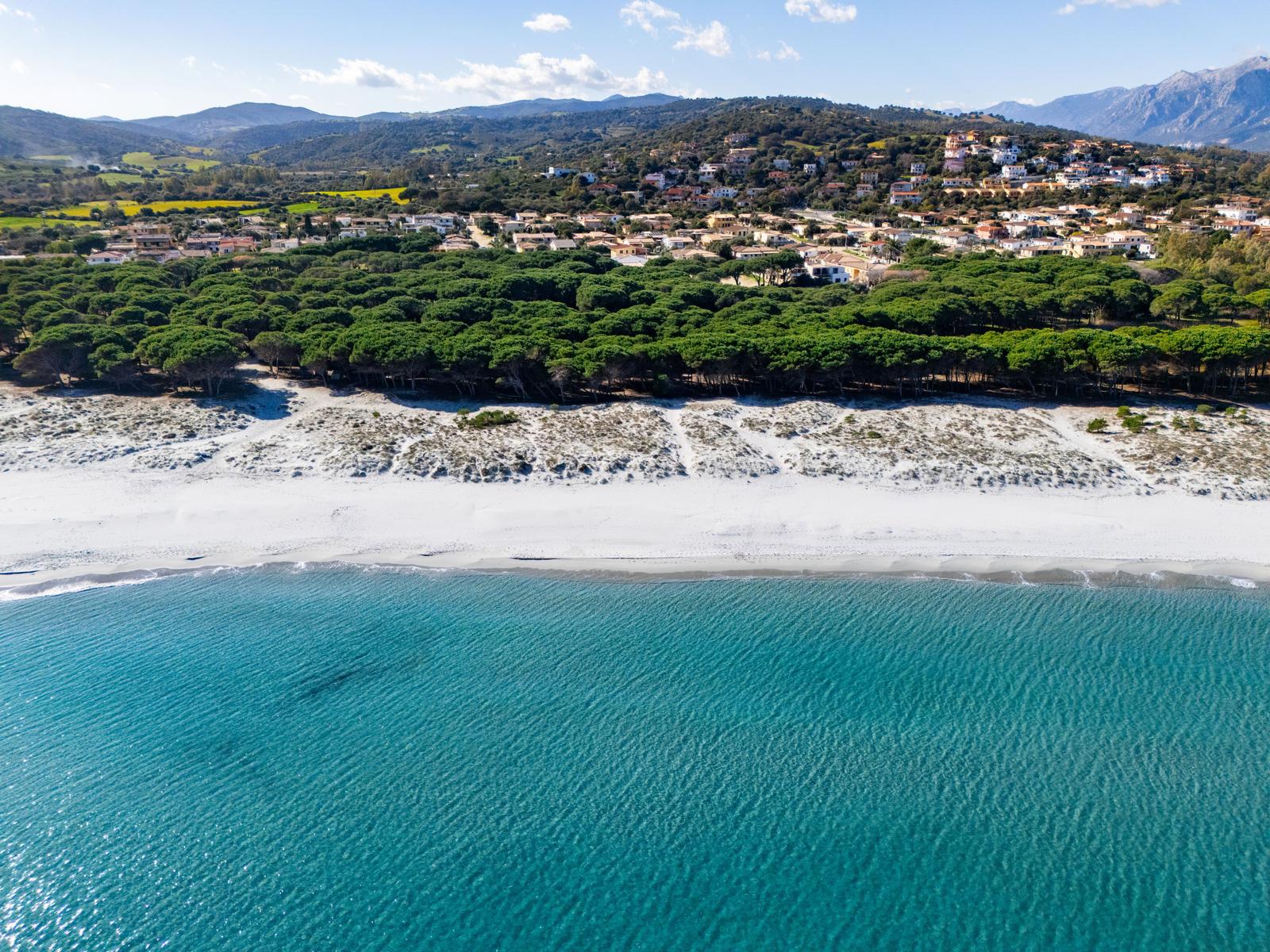 Strand mit weißem Sand, grüner Pinienreihe und Ferienhäusern auf Hügeln.