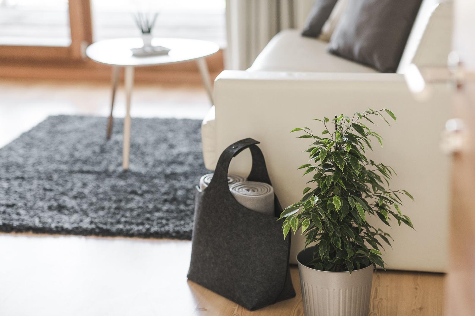 Ein Wohnzimmer mit weißem Sofa, grauem Teppich und Pflanze.