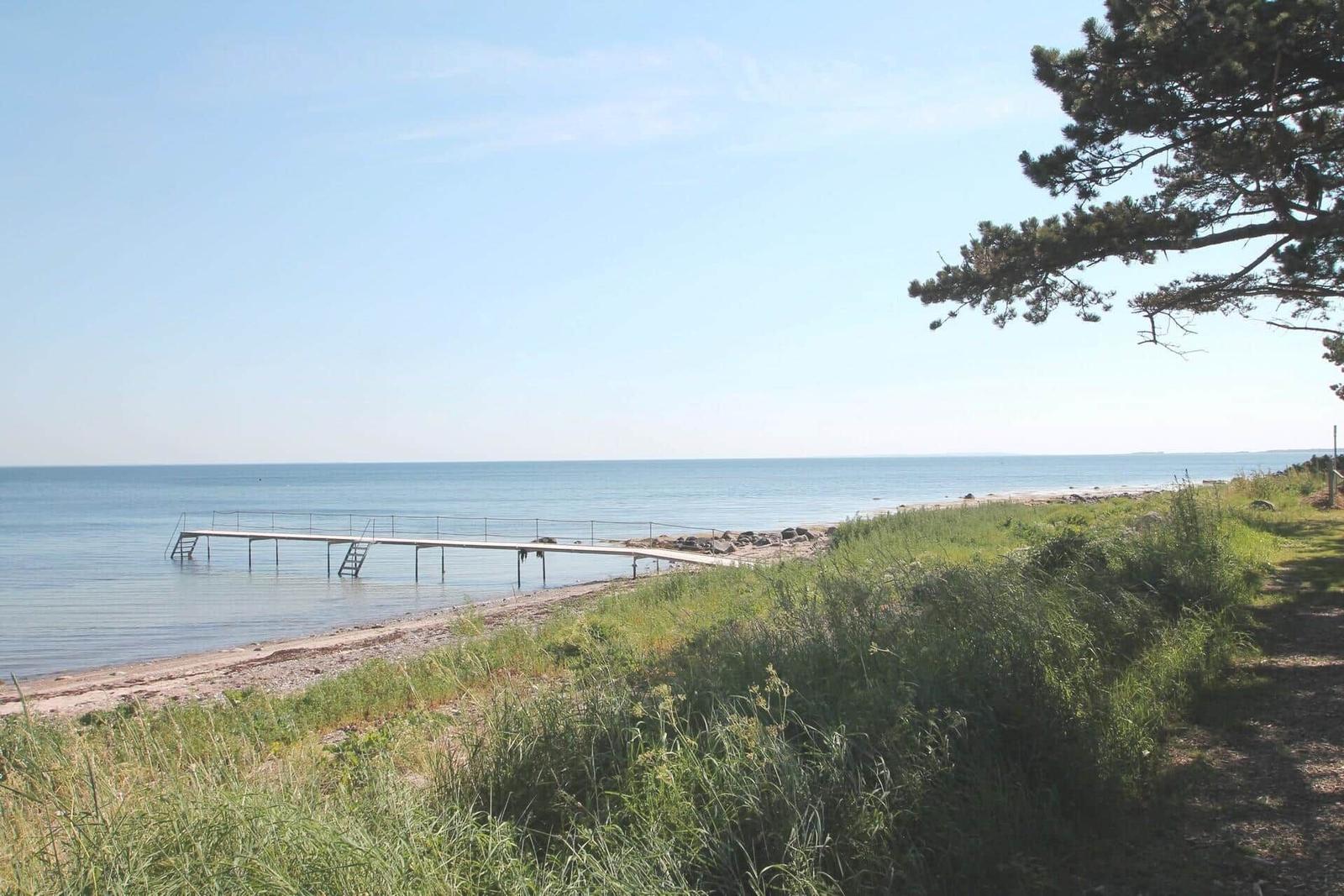 Dock with pier and beach in the background. Grass and tree at the edge.