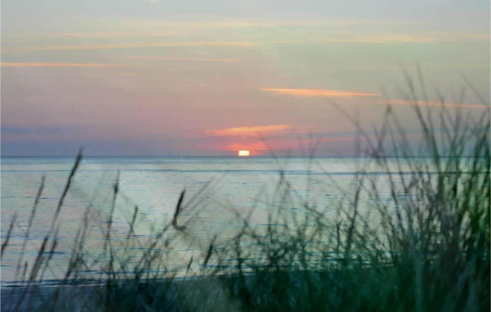 Sonnenuntergang über dem Meer, sichtbar durch hohes Gras.