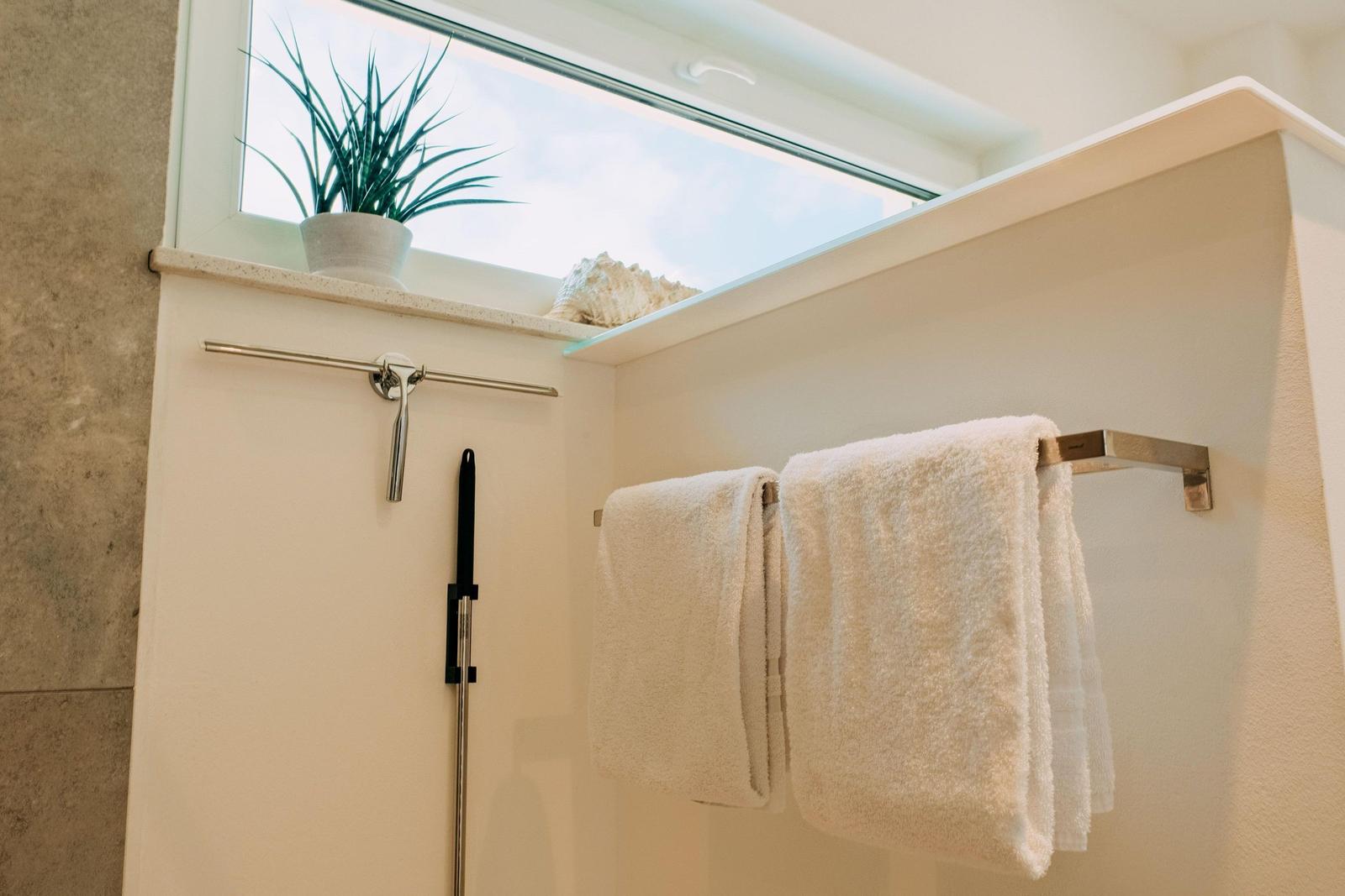 Dusche mit Handdusche, Handtuchhalter und Fenster mit Pflanze und Muschel.