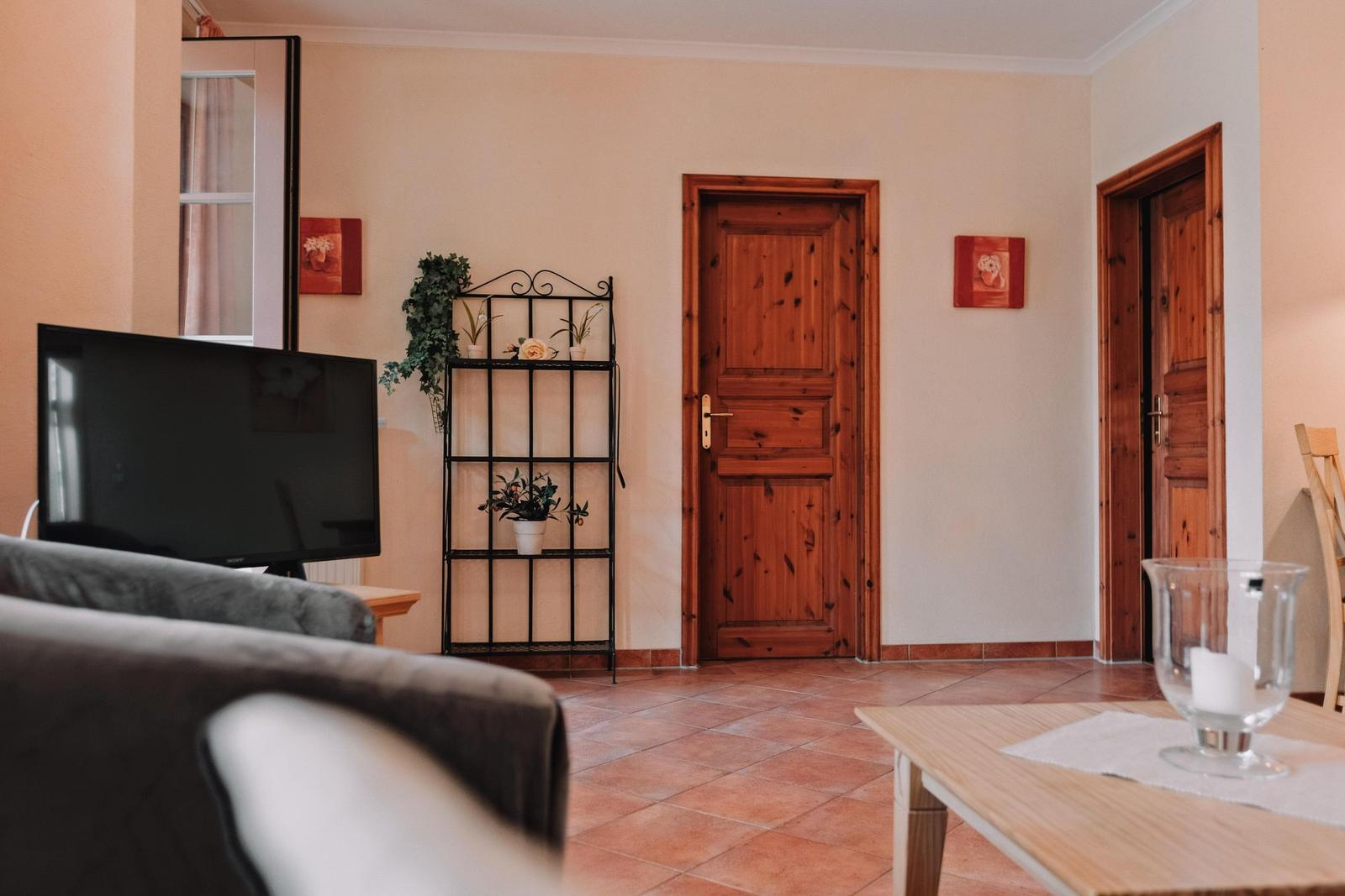 Wohnraum mit Fernseher, Pflanzenregal und Holztüren.