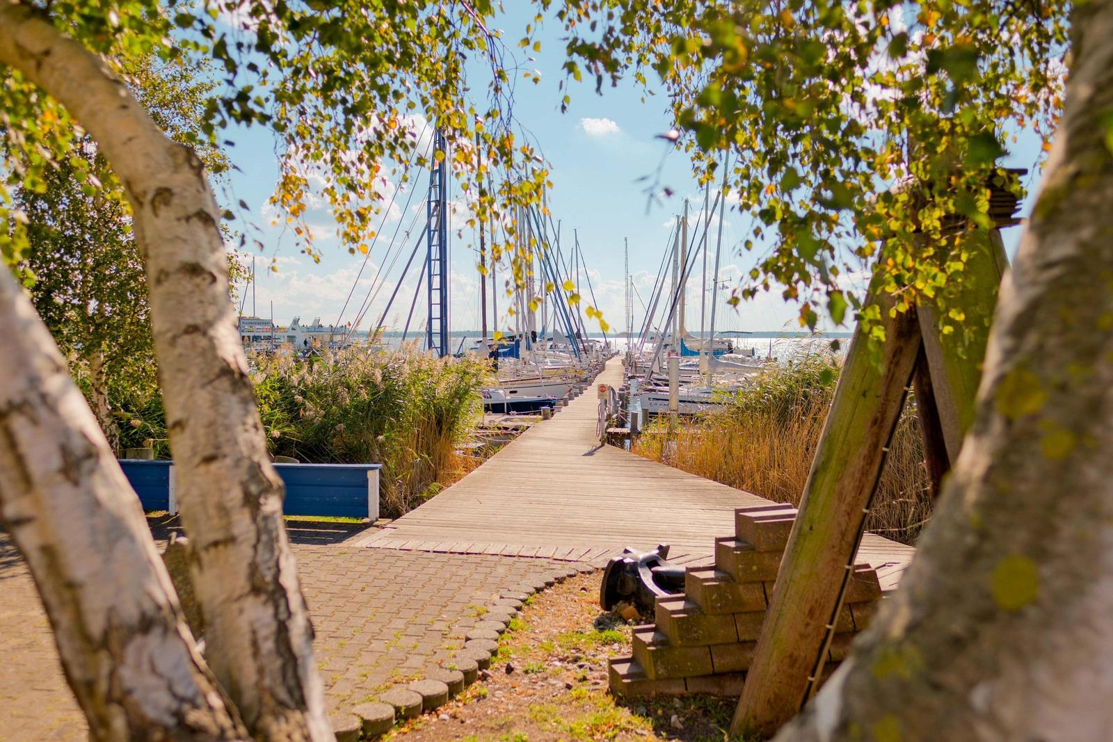 Holzweg führt zum Hafen mit Segelbooten. Bäume und Gras säumen den Pfad.