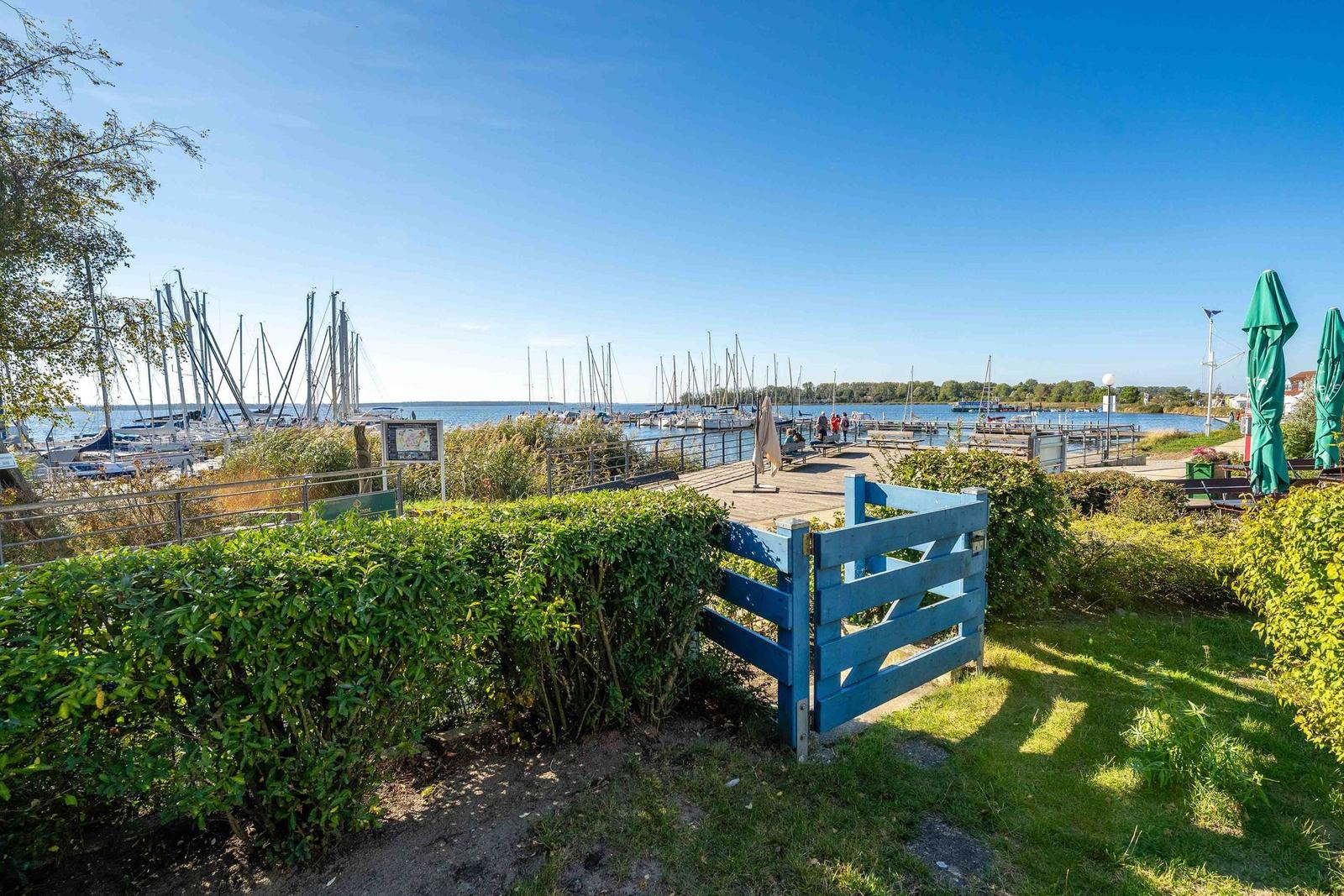 Blauer Holzzaun führt zu einem Bootssteg mit Yachten und grünen Büschen.