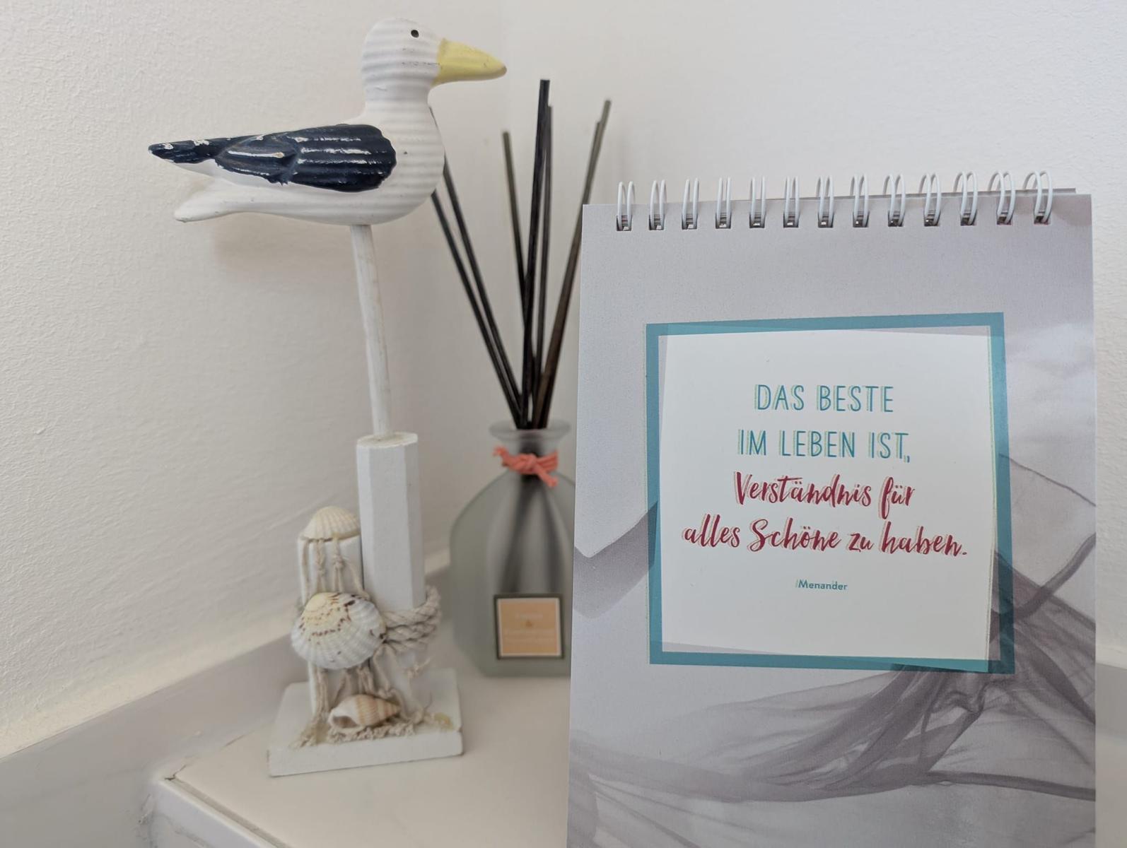 Seestern, Vogel und Notizbuch auf einem Schreibtisch.