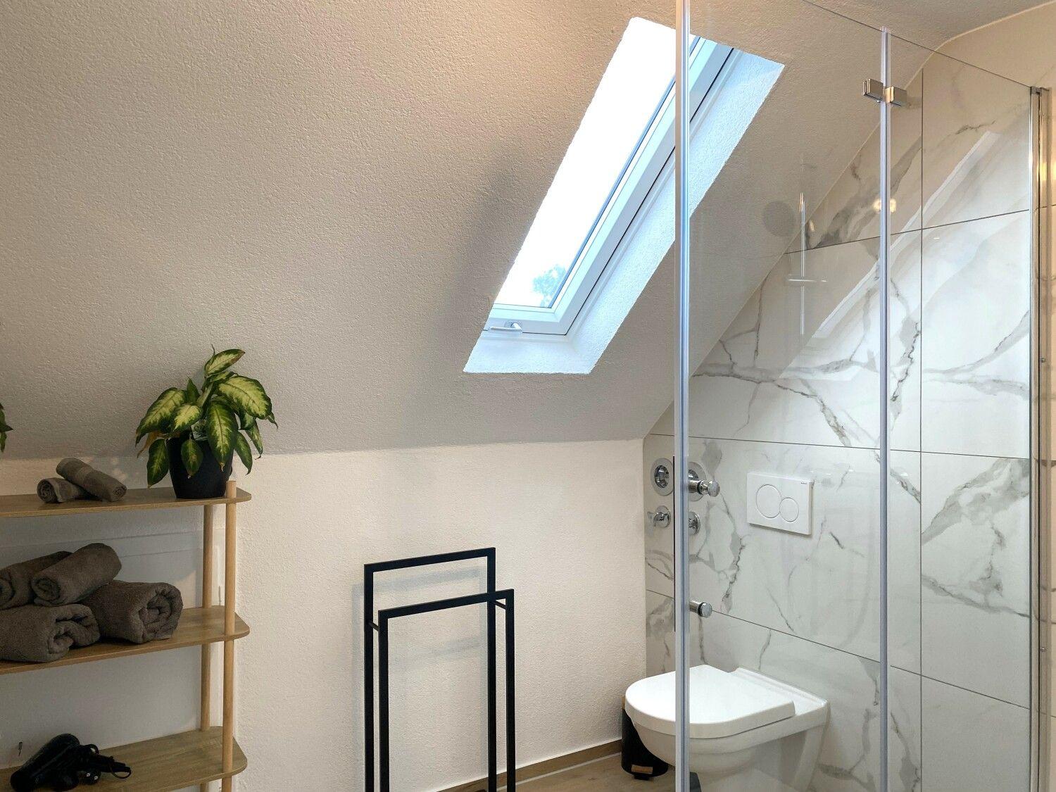 Badezimmer mit Dusche, Toilette und Dachfenster. Holzregal mit Handtüchern und Pflanze.