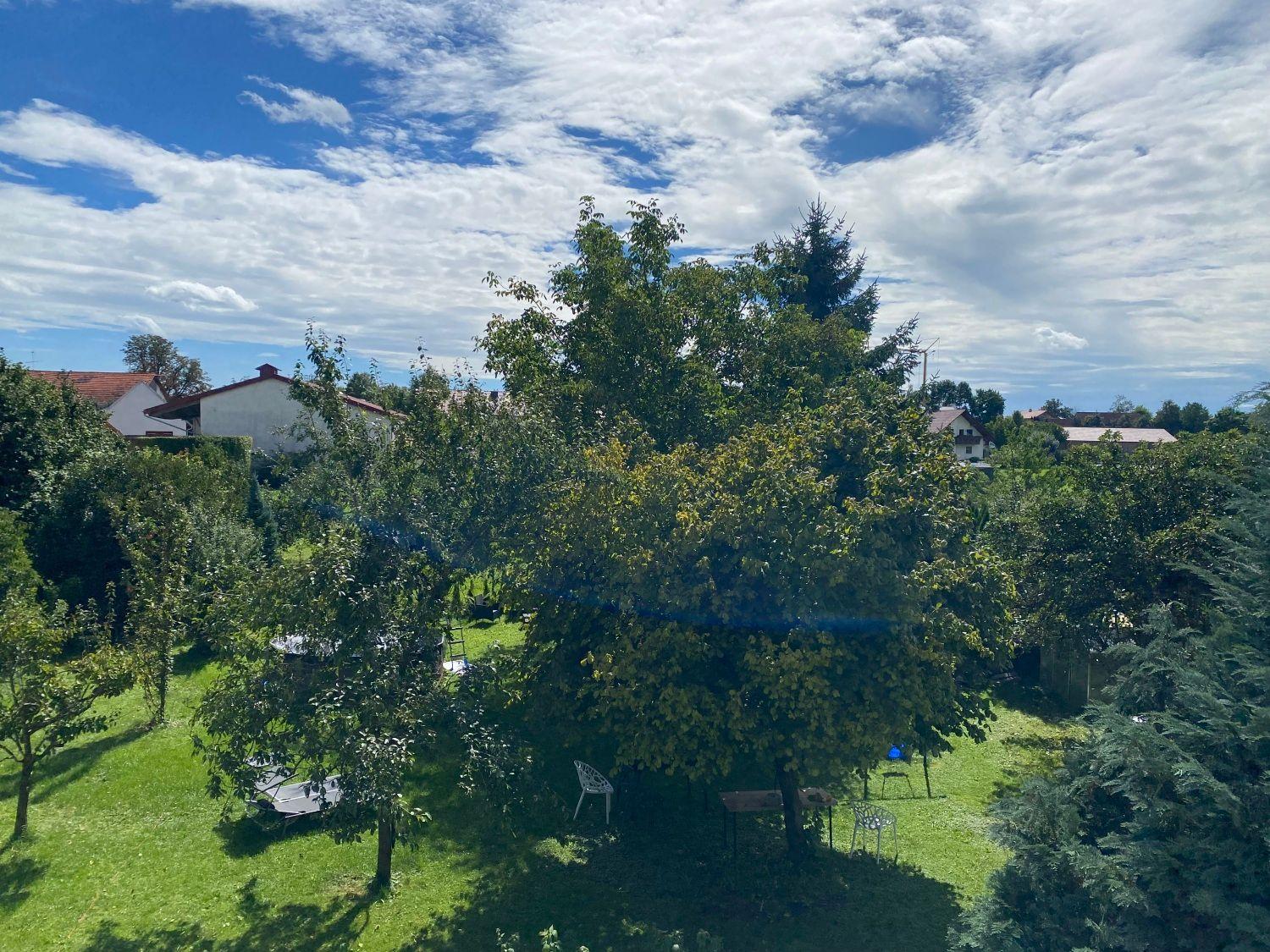 Grüner Garten mit Bäumen und Gartenmöbeln unter blauem Himmel mit weißen Wolken.