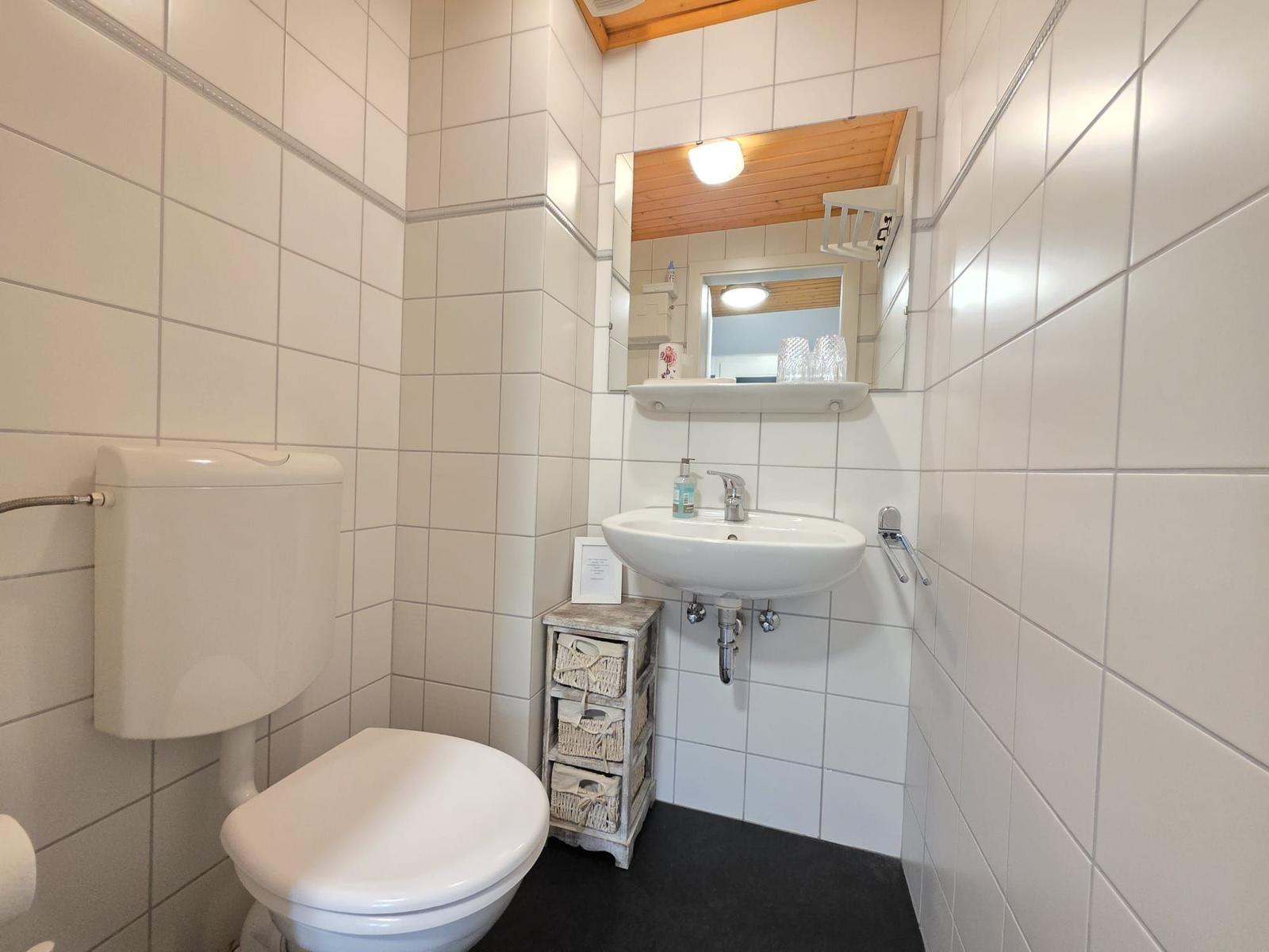 Bathroom with toilet, sink, and mirror